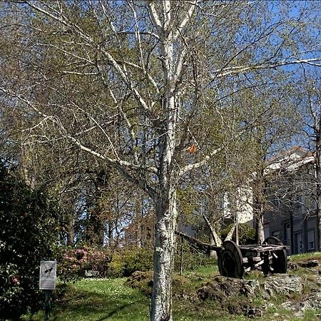 Appartamento Campo De Estrellas San Giacomo di Compostella Esterno foto